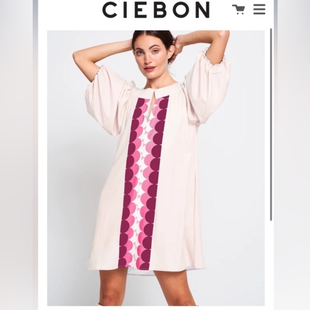 Ciebon Anthropologie Krista Pullover‎ Mini Dress Size Large